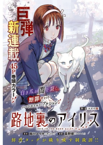 路地裏のアイリス